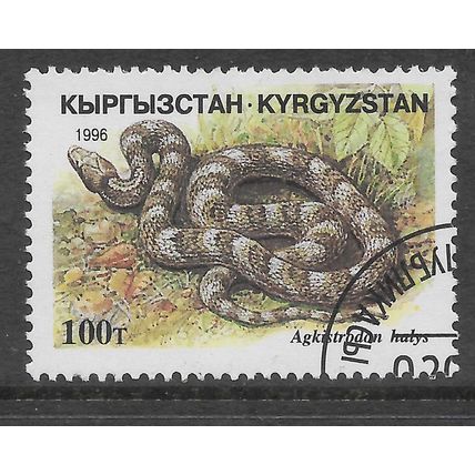 KYRGYZSTAN 1996 REPTILES 100T CENTRAL ASIAN VIPER SG 110 FINE USED