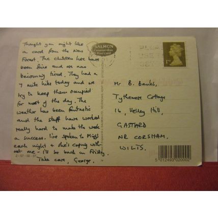 NEW FOREST PONY and PIG , used postcard by Salmon 2001 postmark /