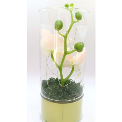 Wonderful Mum LED Tube Light with Faux Pink Flowers Glass LED 20 CM Gift Home
