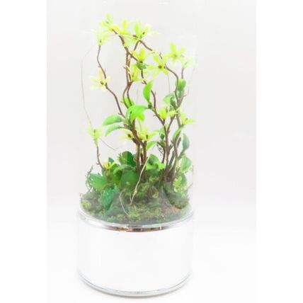 Terrarium with Faux Plants Tube LED Lights Glass LED 20 CM Gift Home Decor