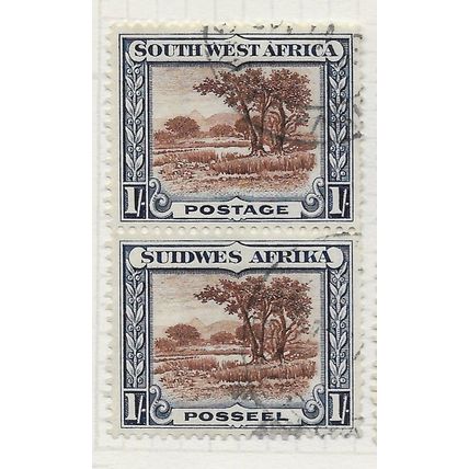 AFRICA SOUTH WEST 1931 1/- THE BUSH SG80 VERT PAIR USED PMK RIGHT SWA