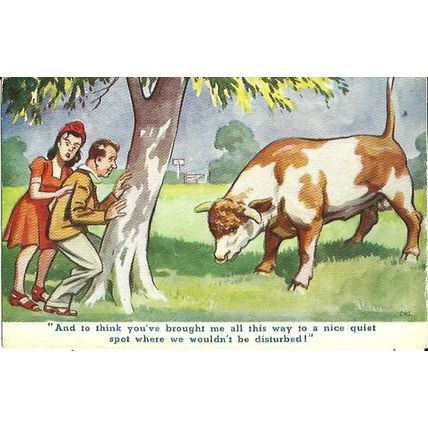 Art A NICE QUIET SPOT Comic Postcard (Tuck Oilette 53)