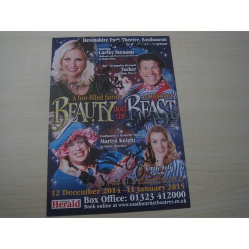 Carley Stenson (Hollyoaks 2014/15 Panto flyer) hand signed RARE *FREE POST*