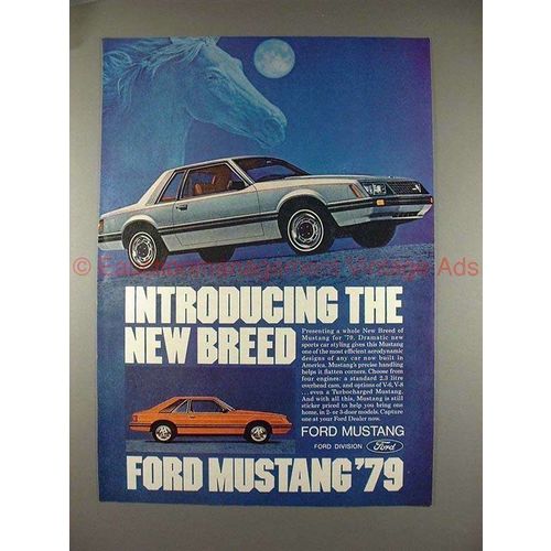 1979 Ford Mustang Ad, Introducing The New Breed NICE!!
