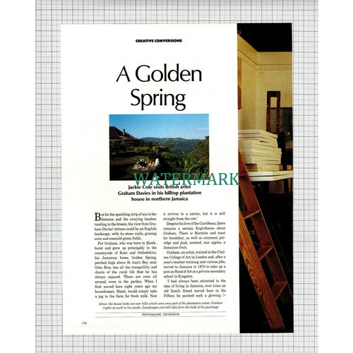 X1952) Graham Davies Artist Golden Spring Ocho Rios Jamaica -1989 Article