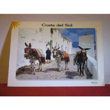 DONKEYS, MIJAS, COSTA DEL SOL. used postcard.1995 postmark =