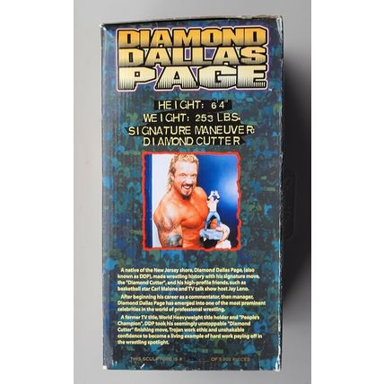 wcw wwe wwf ljn classic superstars 356 of 5000 DDP 12" porcelain sculpture