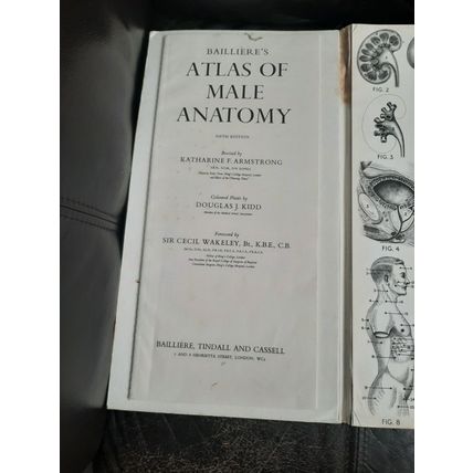 Bailliere's Atlas of Male Anatomy Revised ny Katharine F. Armstrong