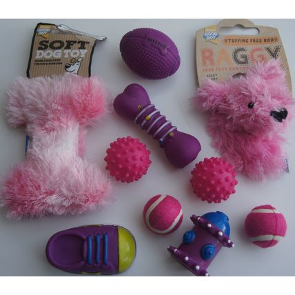 10 X ASSORTED SMALL DOG PUPPY TOY DOG - 2 OPTIONS PINK FOR A GIRL BLUE FOR A BOY