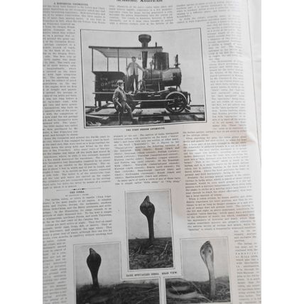 3,000 Mile Ocean Cup Race; US Racing Cars... Scientific American - May 27, 1905