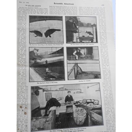 3,000 Mile Ocean Cup Race; US Racing Cars... Scientific American - May 27, 1905