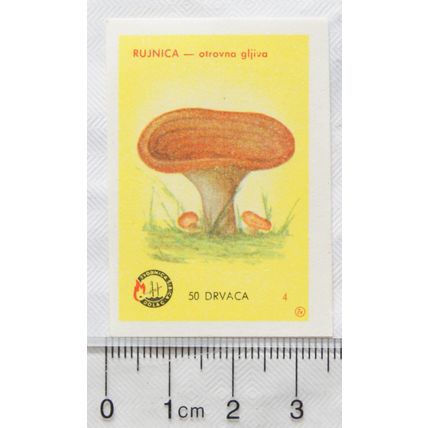 vintage Yugoslavia Matchbox Label - Toadstool, Rujnica