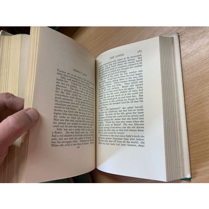 1933 HUGH WALPOLE "VANESSA" FICTION VINTAGE THICK HARDBACK BOOK (P5)