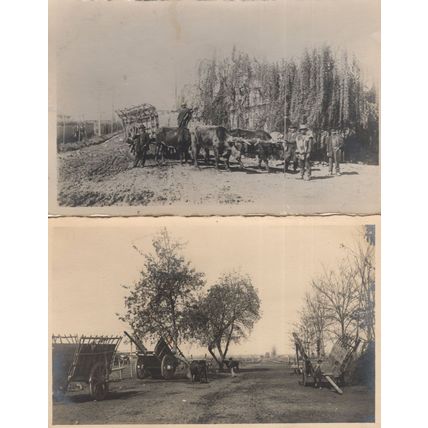 Santiago Chile Farming Transport Farmer 2x Old Postcard s