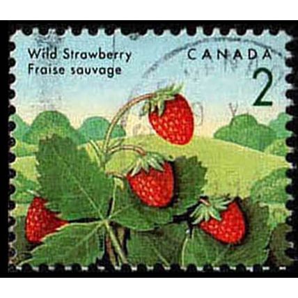 Canada 1992 Edible Fruit 2c Used Stamp