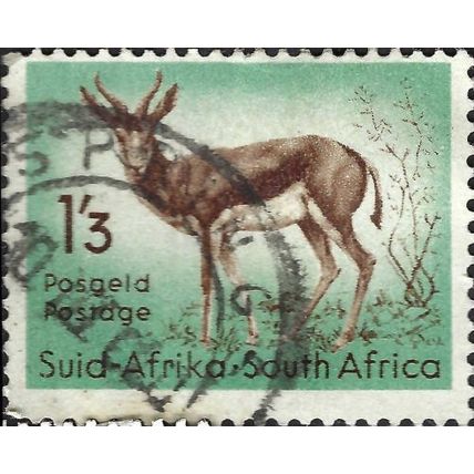 SOUTH AFRICA, MAMMAL, Springbok, Antidorcas marsupialis, light green 1954, 1/3