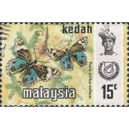 KEDAH, MALAYSIA, BUTTERFLY, Blue Pansy , light brown 1971, 15c, #4