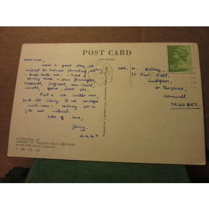 A PEACOCK, CRICKET ST. THOMAS WILD LIFE PARK, SOMERSET used postcard. 1980 pm #