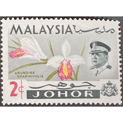 Malaya Johore QEII 1965 2c Arundina Graminifolia Mounted Mint SG167 Sc170 stamp