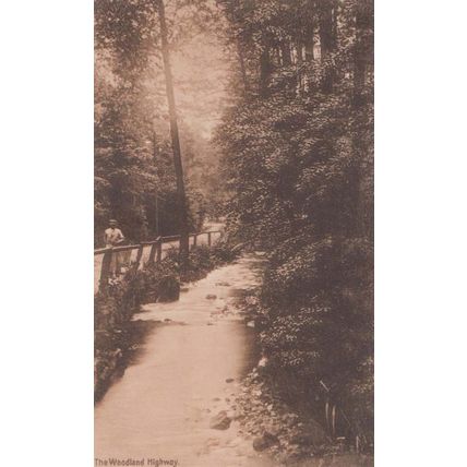 Uniformed Man on Woodland Road Highway Nottingham Notts Newark 1905 Postcard