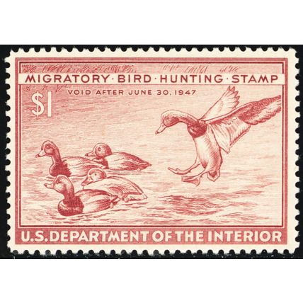 RW13, Mint VF NH $1 Federal Duck Stamp ** Stuart Katz