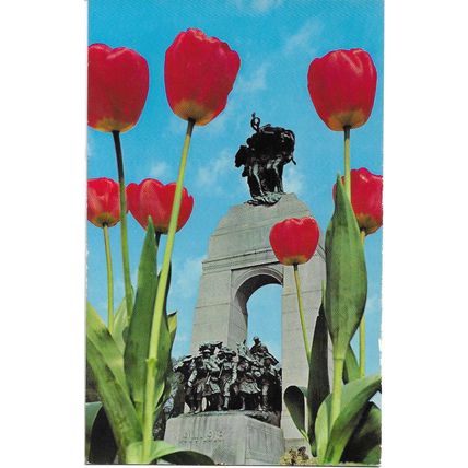 Tulips and Canada War Mémorial