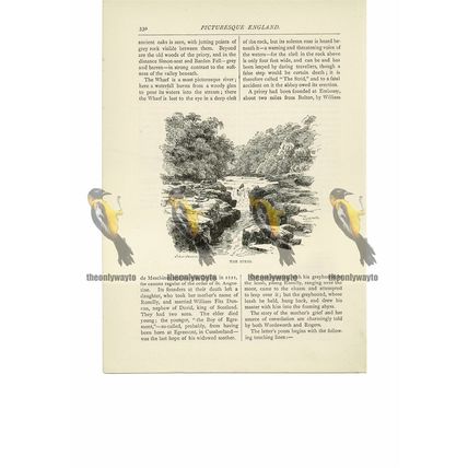 Strid, Nr Bolton Abbey, Yorkshire, Book Illustration (Print), 1891