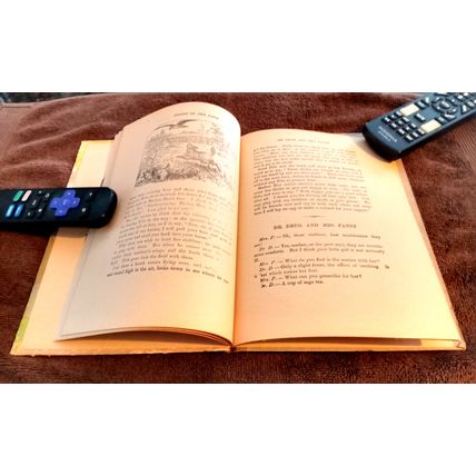 Old Vintage Animal Book # 0501 Animal Stories Series Charles E Graham & Co