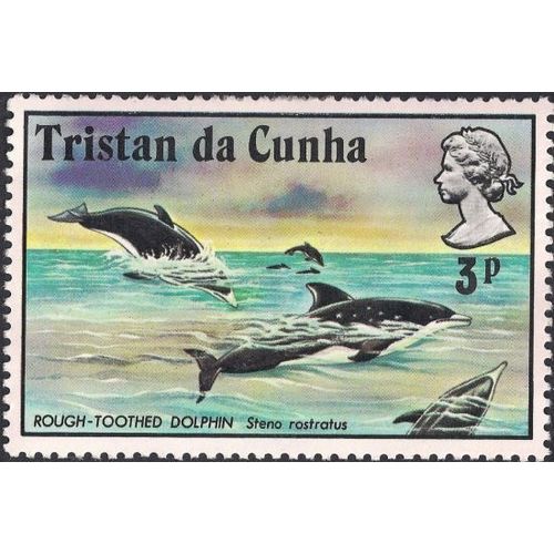 EIRE, FISH, Rough toothed dolphin, blue 1975, 3p
