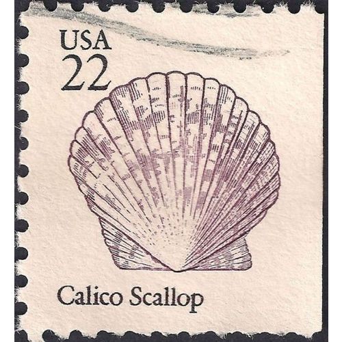 USA, MOLLUSCS, Calico Scallop, white 1985, 22c, #2