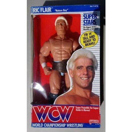 wcw wwf ljn hasbro galoob wrestling superstars 12" ric flair wrestling figure