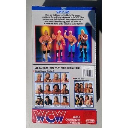 wcw wwf ljn hasbro galoob wrestling superstars 12" ric flair wrestling figure