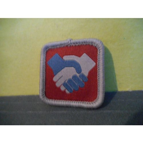 Boy Scouts Merit Badge Friendship