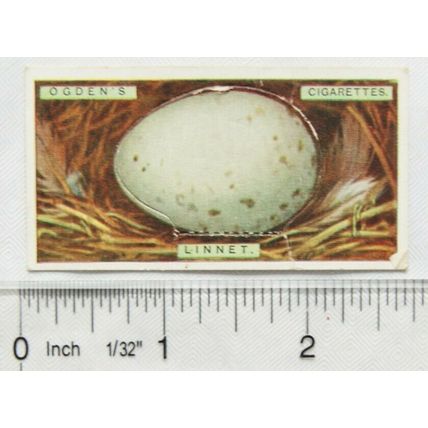 1923 Ogdens Bird's Eggs cut-out No. 21 Linnet
