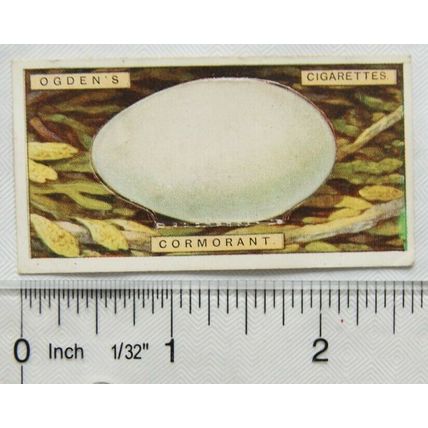 1923 Ogdens Bird's Eggs cut-out No. 5 Cormorant