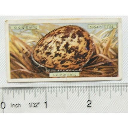 1923 Ogdens Bird's Eggs cut-out No. 20 Lapwing
