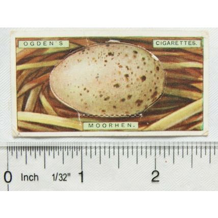 1923 Ogdens Bird's Eggs cut-out No. 23 Moorhen