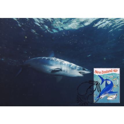 Mako Shark New Zealand Wanganui Stamp Postcard FDC
