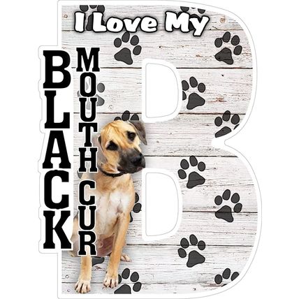 I Love My Black Mouth Cur Fridge Magnet