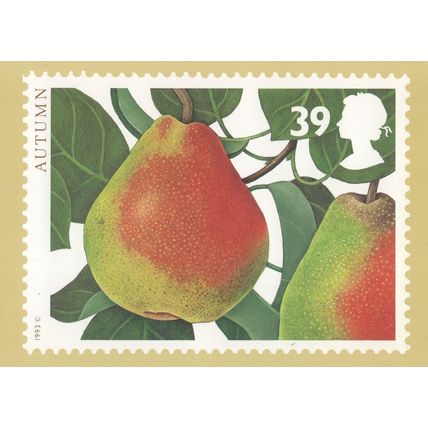 Autumn Pear Charlotte Knox Royal Mail Stamp RMPQ Postcard