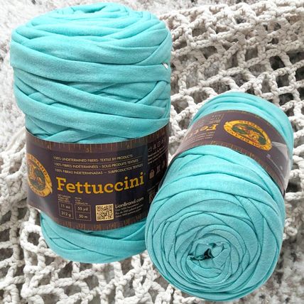 Lion Brand Fettuccini Yarn Bundle of 2 Aqua Blue 21.8oz Lot #60b