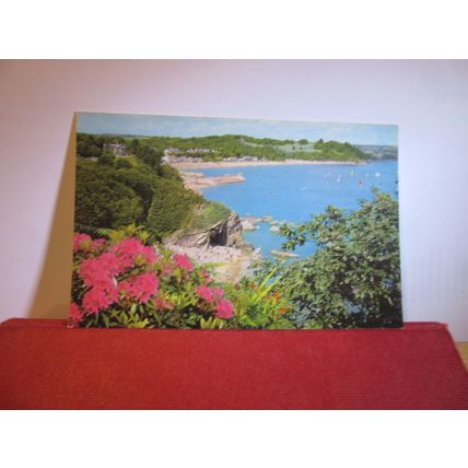 THE GLEN BEACH, SAUNDERSFOOT, PEMBROKESHIRE unused postcard =
