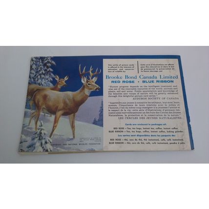 ANIMALS OF NORTH AMERICA 1960 BROOKE BOND CANADA EMPTY ALBUM