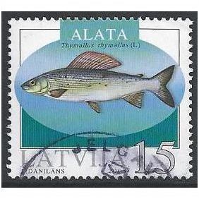 MI 594: 15 S multicoloured Fish: Grayling (Thymallus thymallus).