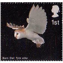 Great Britain 2003 Birds of Prey 1st Barn Owl Unmounted Mint NHM SG 2331 Sc 2091