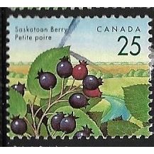 1991/1996 SG 1466 - fine used (o)