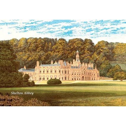 Shelton Abby 12 x 18 Poster