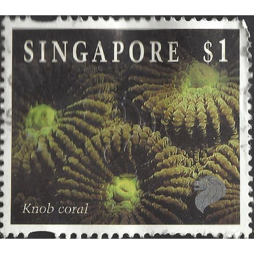 SINGAPORE, MOLLUSC, Knob Coral, Favia , brown 1994, $1, #3