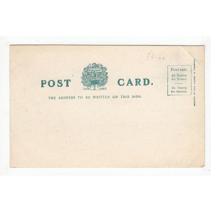 General View Postcard Devon Peacock Early Undivided Back