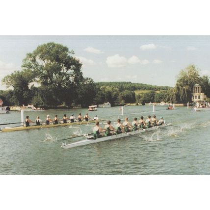 Henley Road Regatta Race In Progress Boat Postcard